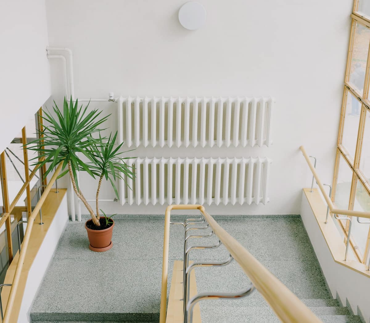 White radiators mounted on a wall beside a houseplant